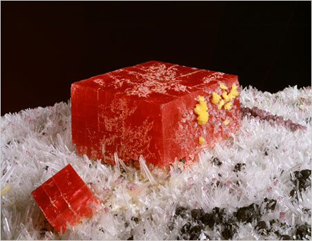 Starburst. Show visitors also can take in the sights of the Denver Museum of Nature and Science . Above, side view detail of "The Alma King" rhodochrosite from the Sweet Home Mine, Alma, Park County, Colorado, looking very much like the chewy candy we ate as kids. (Photo: Richard M. Wicker, © Denver Museum of Nature and Science)