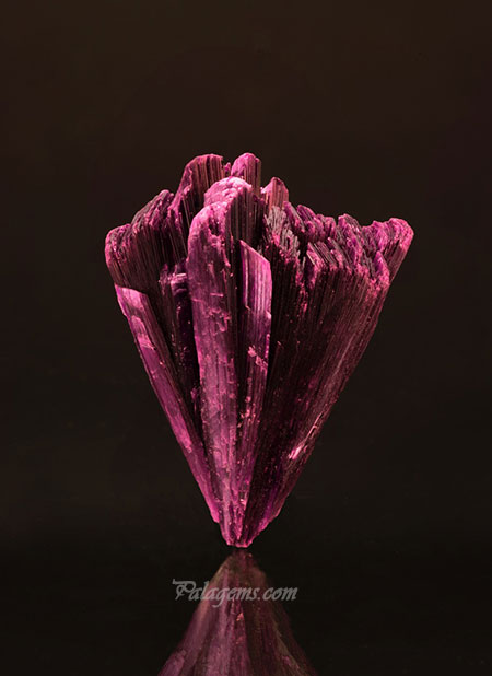 April flowers? Erythrite from the Bou Azar District, Ouarzazate Province, Morocco, 4 x 3.2 cm. Price available upon request. (Photo: Mia Dixon)
