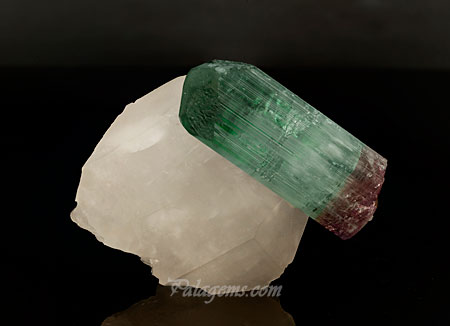 Attached at the hip. Tourmaline on quartz from Santa Rosa, Minas Gerais, Brazil, 6.5 x 6.5 x 2.5 cm. We chose this specimen in anticipation of the debut of a new book, The World of Tourmalines , at the Westward Look Show. Price available upon request. (Photo: Mia Dixon)