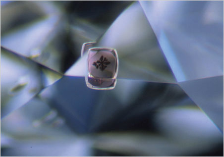 Graphite dendrite on pyrope that developed through graphitization at the garnet-diamond interface (1.8-mm horizontal field of view). (Photomicrograph: John Koivula)