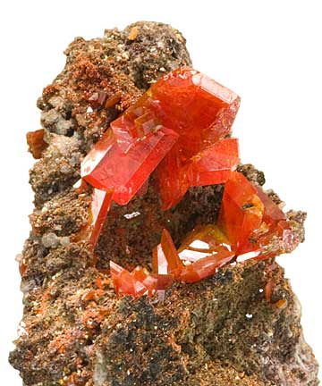 Glassy wulfenites on matrix from its classic locality, the Red Cloud Mine of Arizona. Largest crystal has some damage but displays well. Inventory #17807 . (Photo: John McLean)