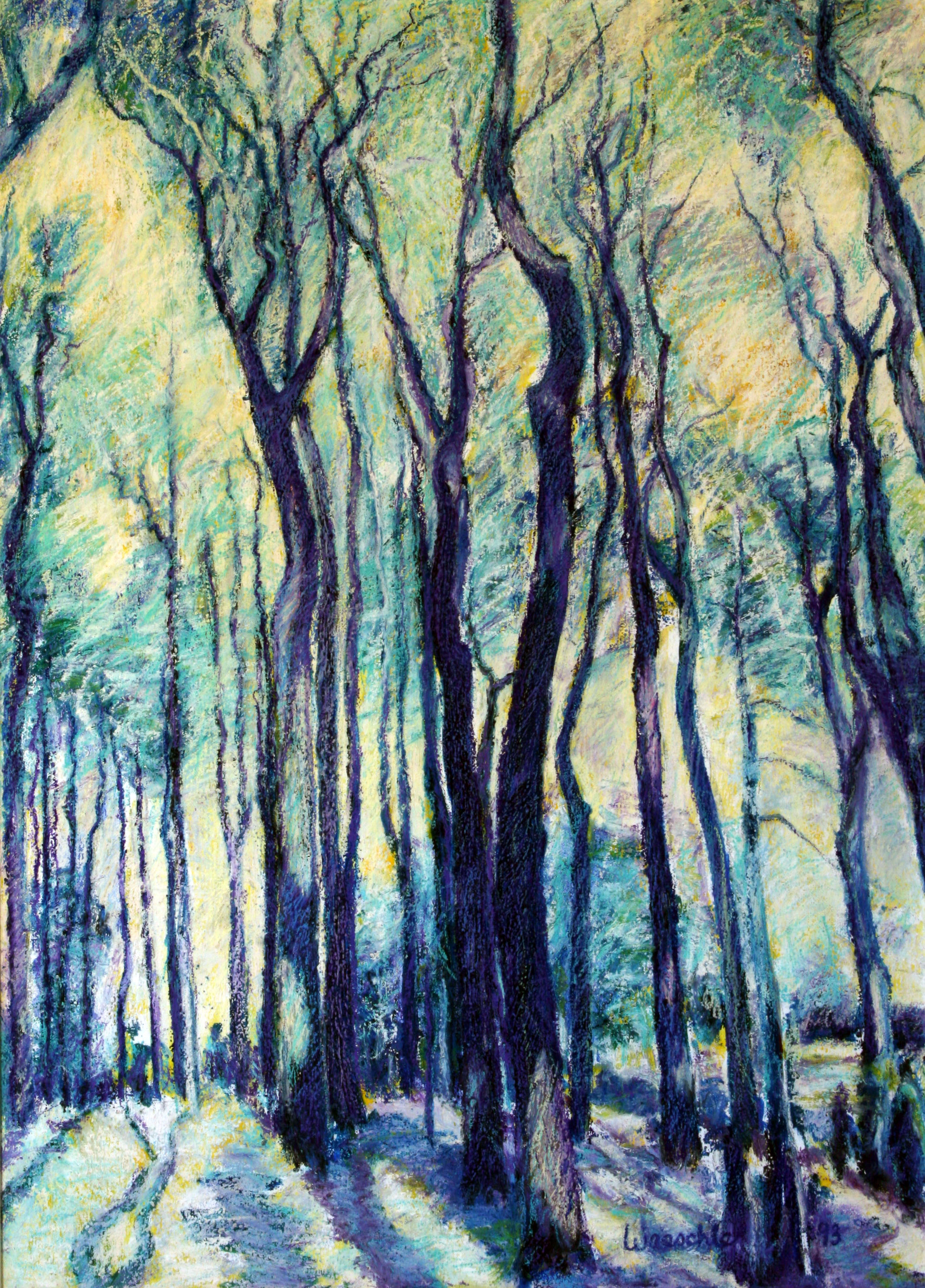 Spring Shadows