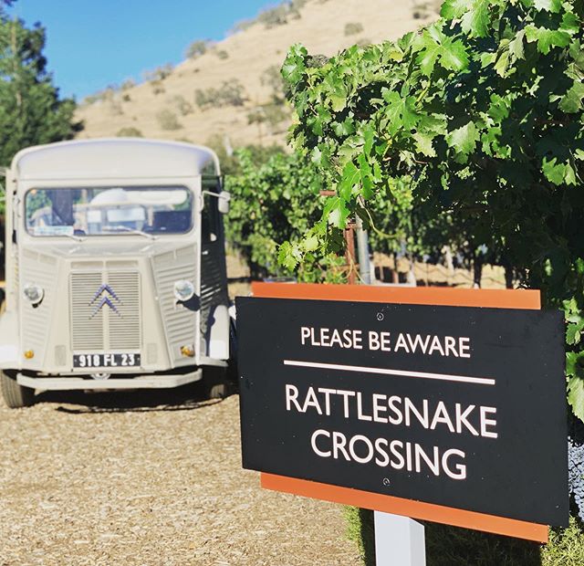 🐍 Rattle Snakes and cocktails #thatshowweroll 🍸 #matchmadeinheaven #ohmy #privateevent #mobilebar #truckrental  #cocktailtruck #winetruck #citroenhy #rattlesnake
.
#napafoodtruck #napaweddingplanner #sonomaweddingplanner #sonomafoodtruck #foodtruck