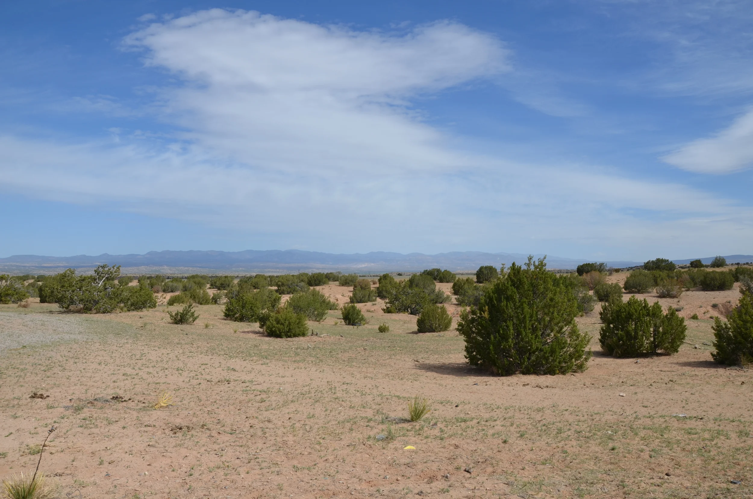 DSC_3899.JPG