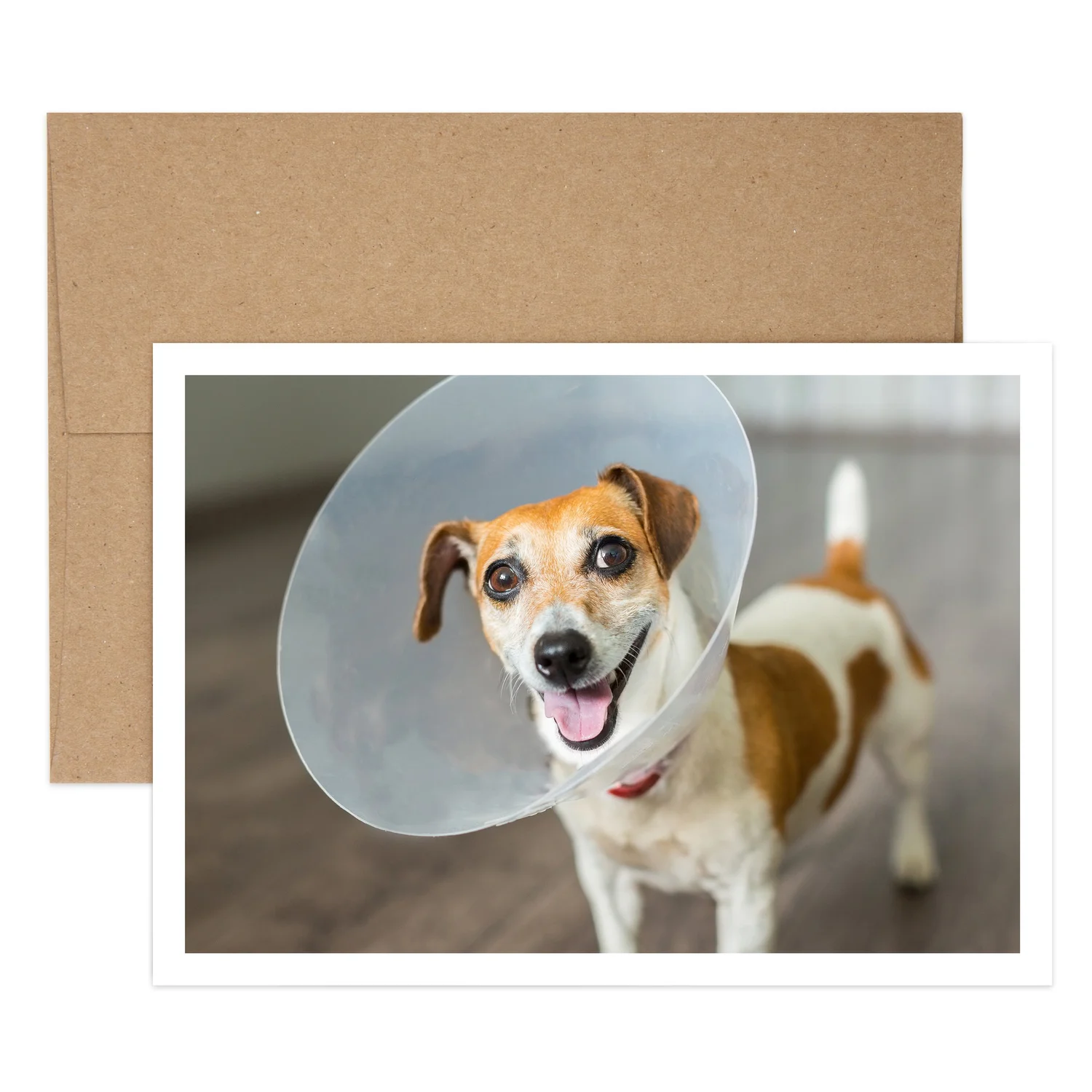 Get Well Soon Dog Cone