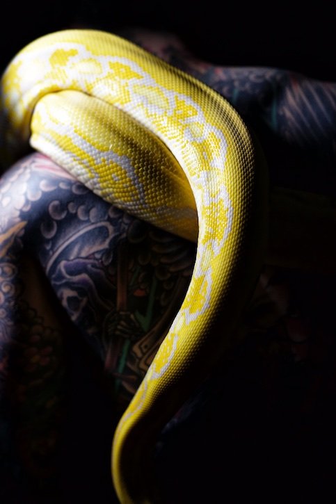 Ben McMillan - MILES - Snakes 18.jpg