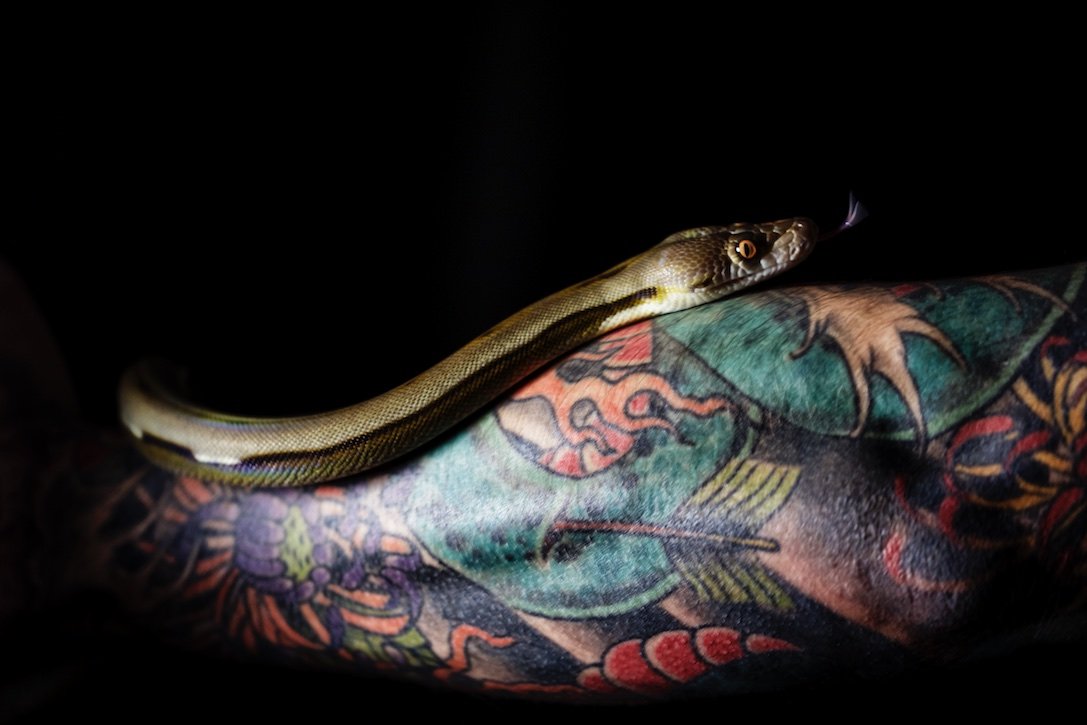 Ben McMillan - MILES - Snakes 21.jpg