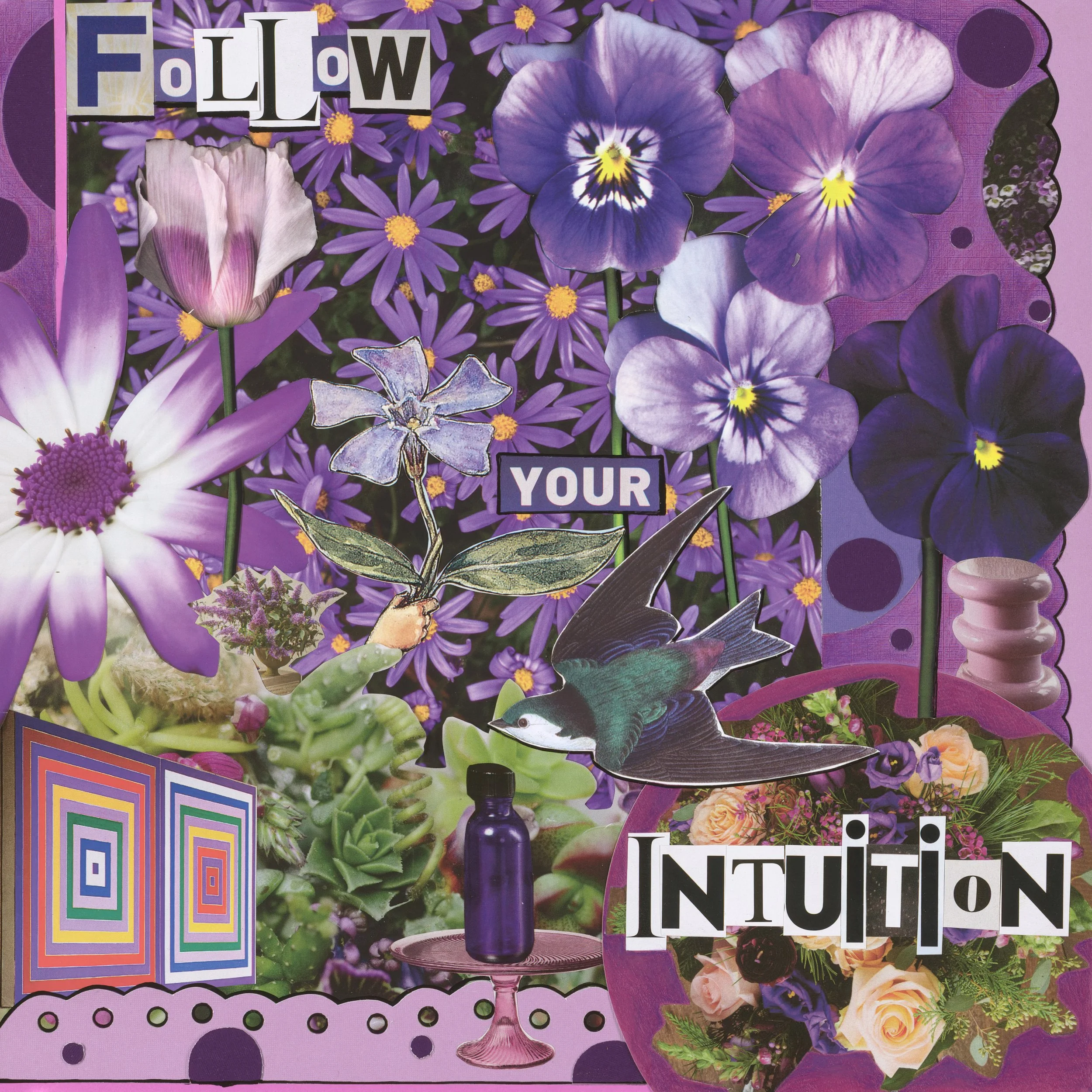 Follow Your Intuition