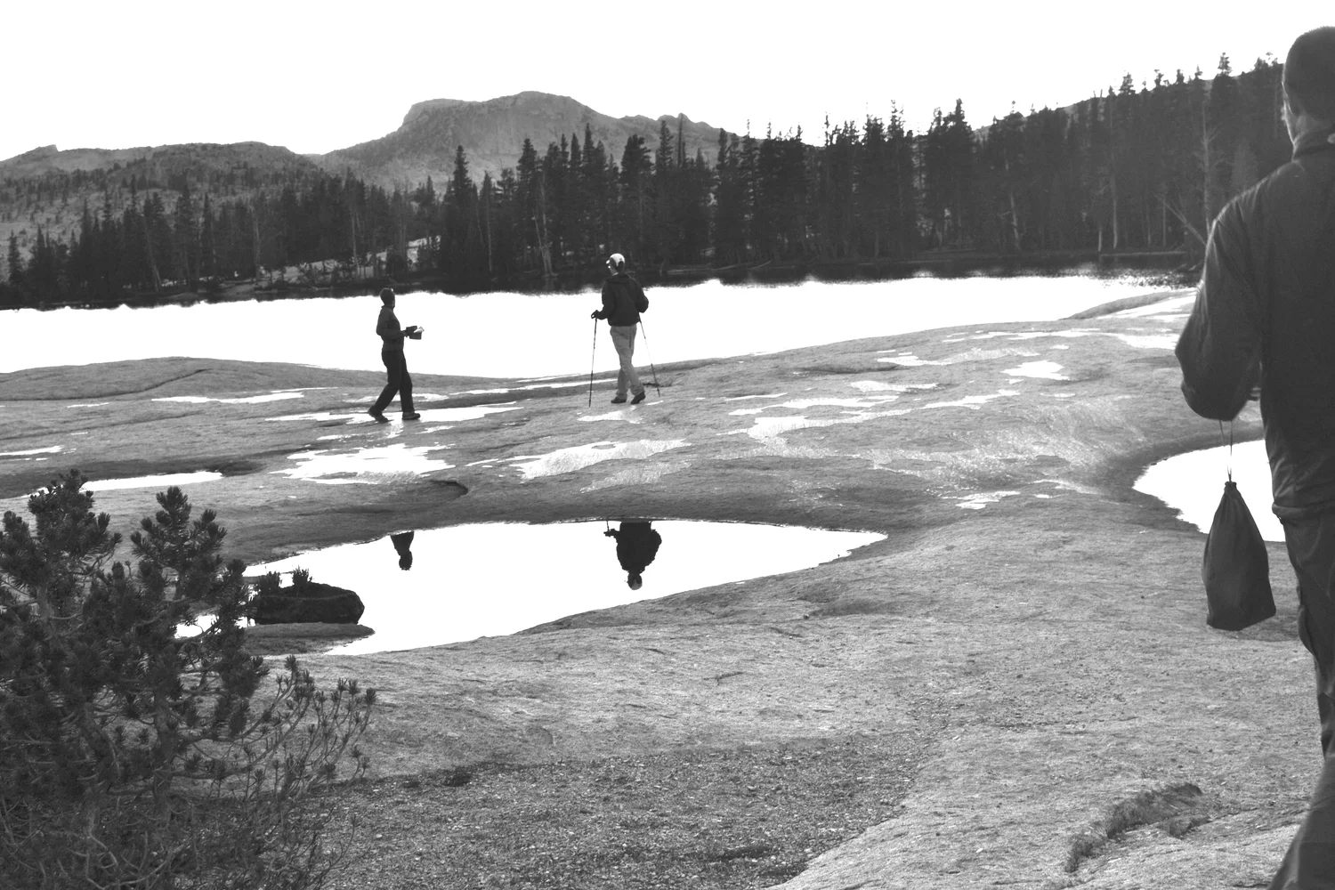 Lower Cathedral Lake, Yosemite National Park