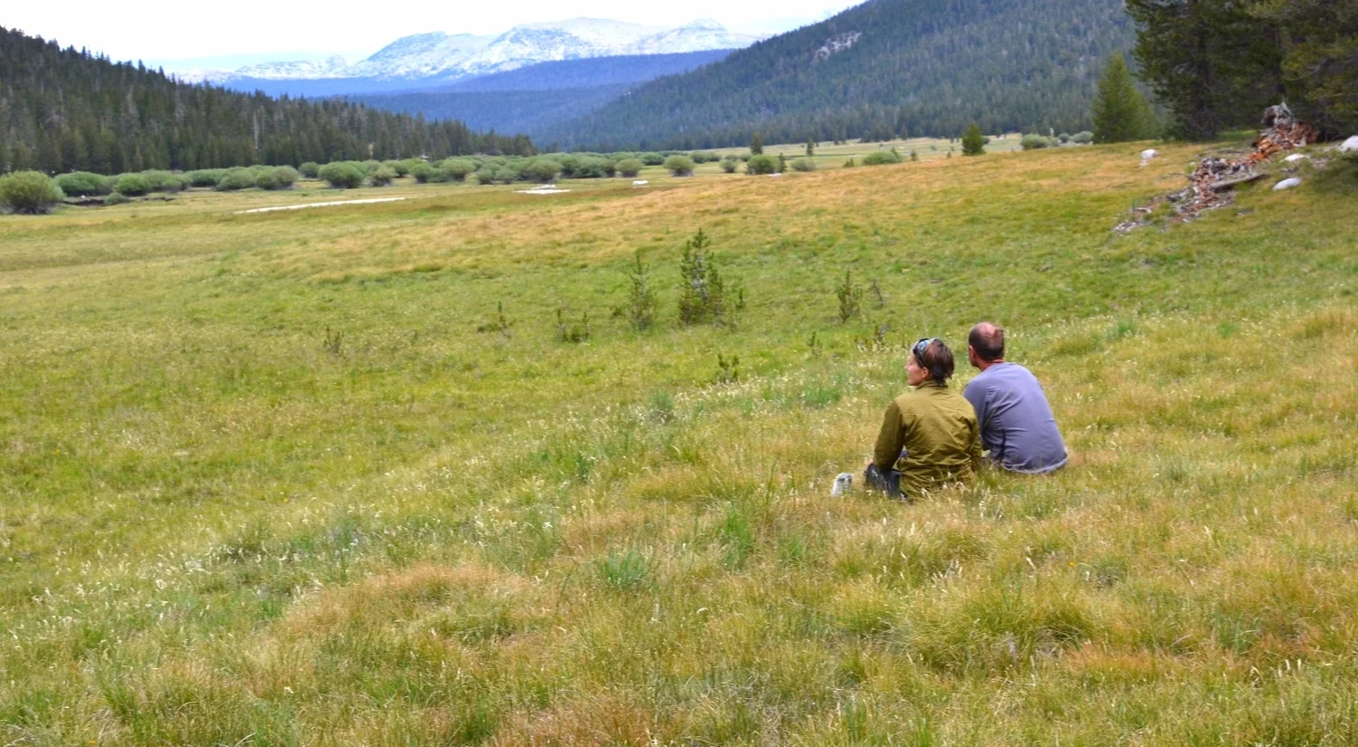 Lyell Canyon, Yosemite National Park