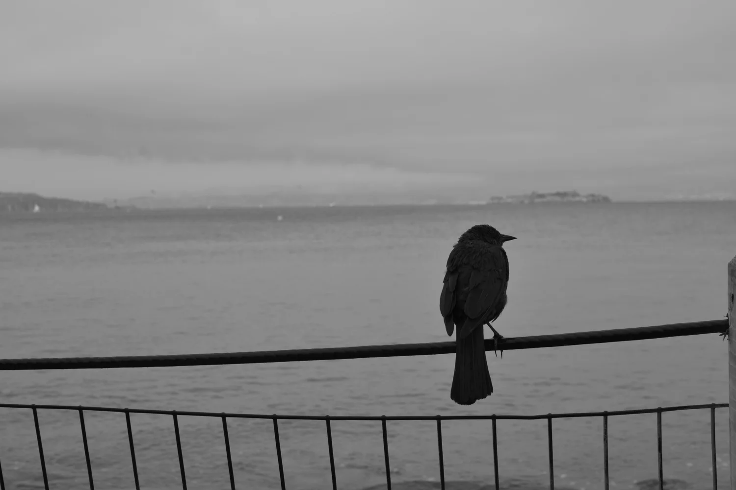 San Francisco, California