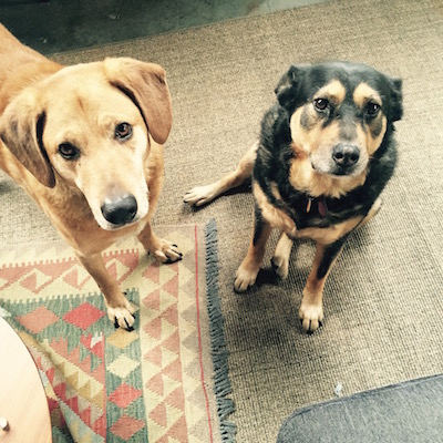 JIM AND MACY