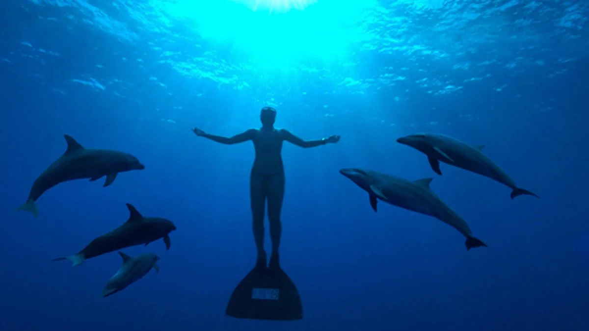 The Cove. Courtesy of the Oceanic Preservation Society.