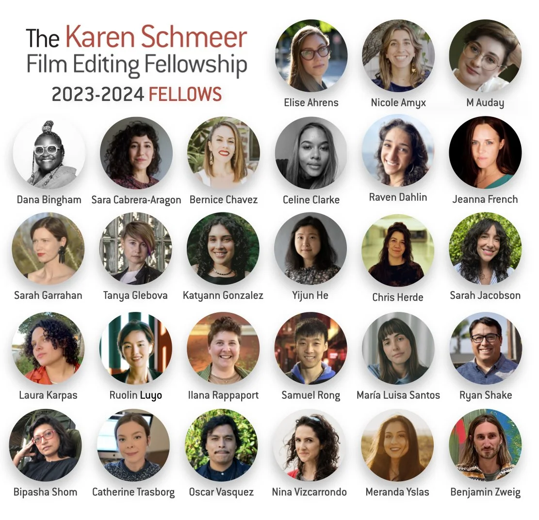 ANNOUNCING THE 2023-2024 KAREN SCHMEER FELLOWS!