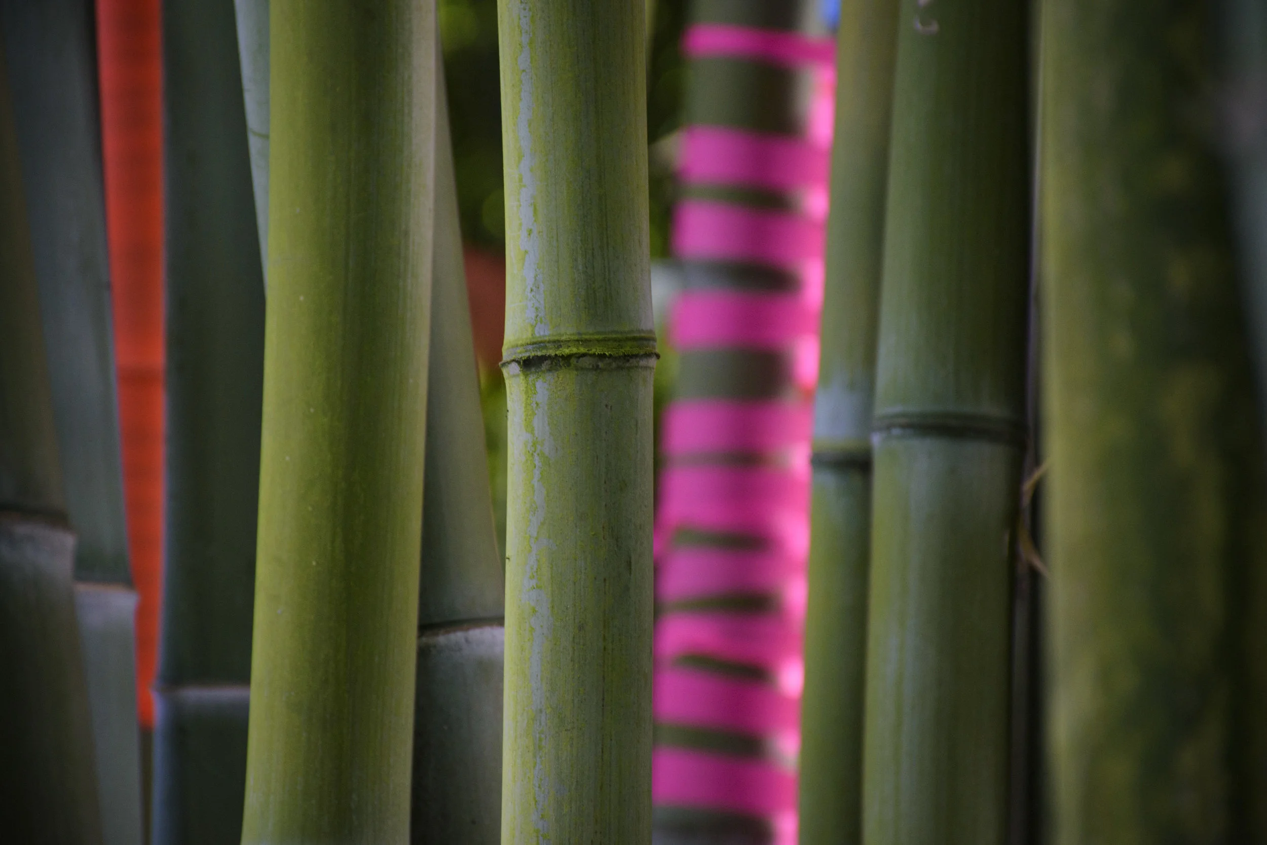 Bamboo Weaving 004 L (1).jpg