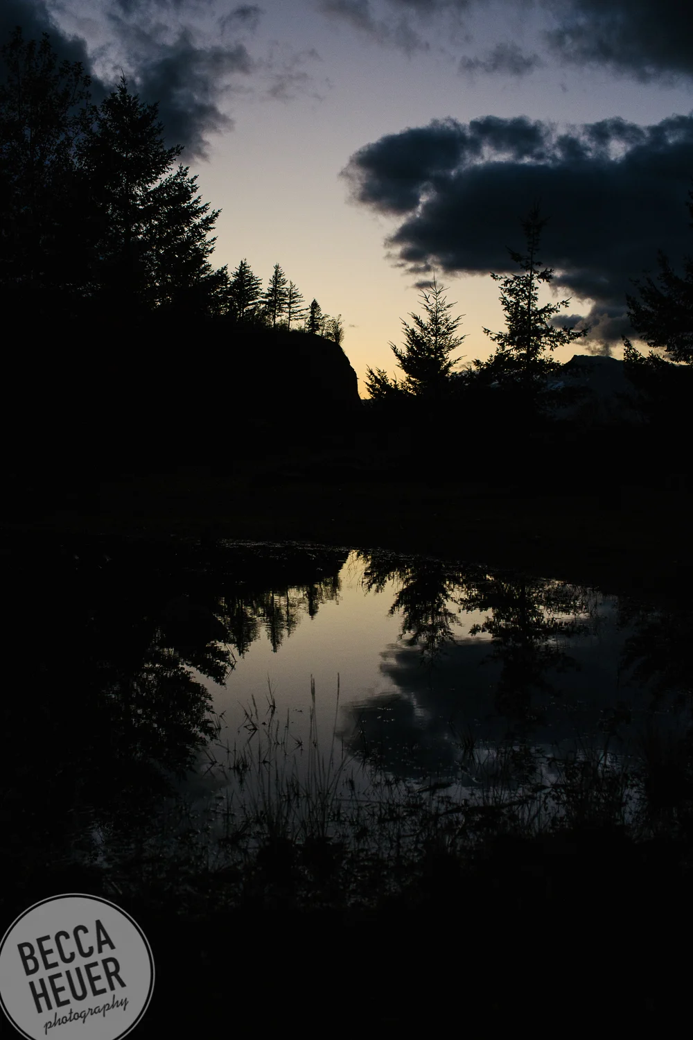 Personal_2018-049.jpg