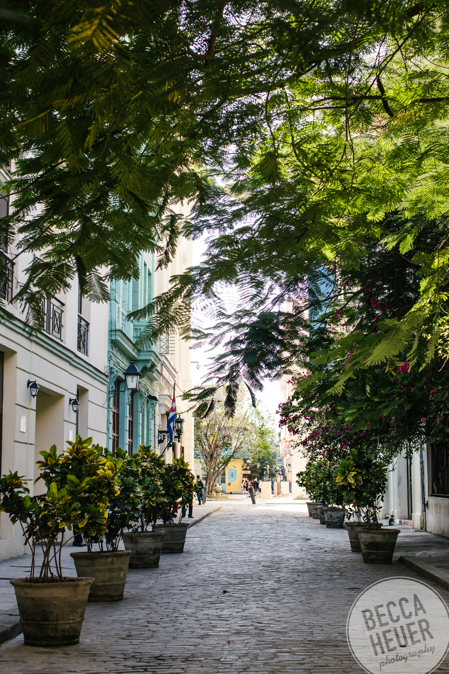 Cuba-014.jpg