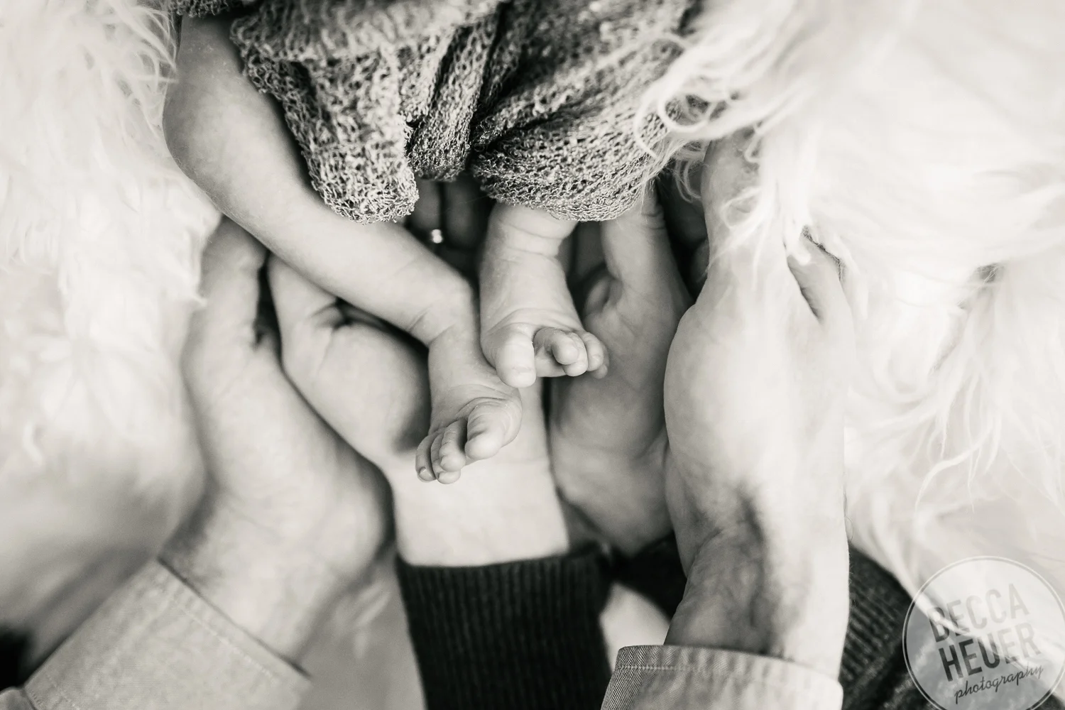 BeccaHeuerPhotography_Loos Family_2018-010.jpg