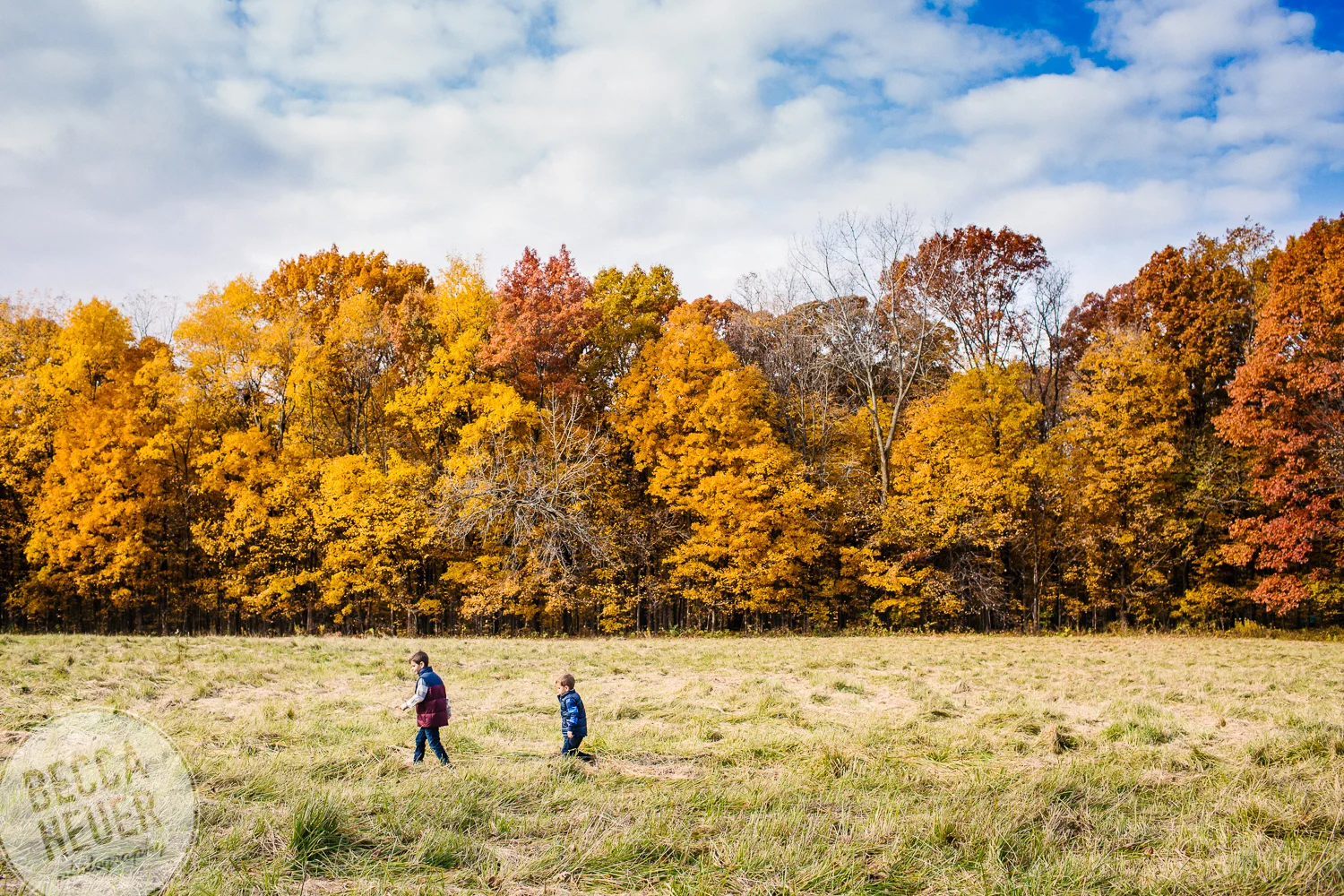 Indiana Family Photographer-048.jpg