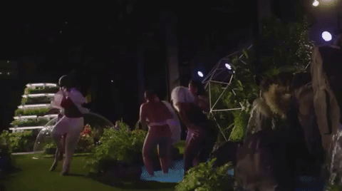 giphy-1.gif