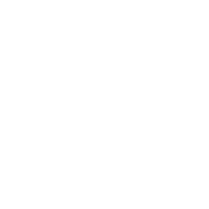 SVGE Magazine