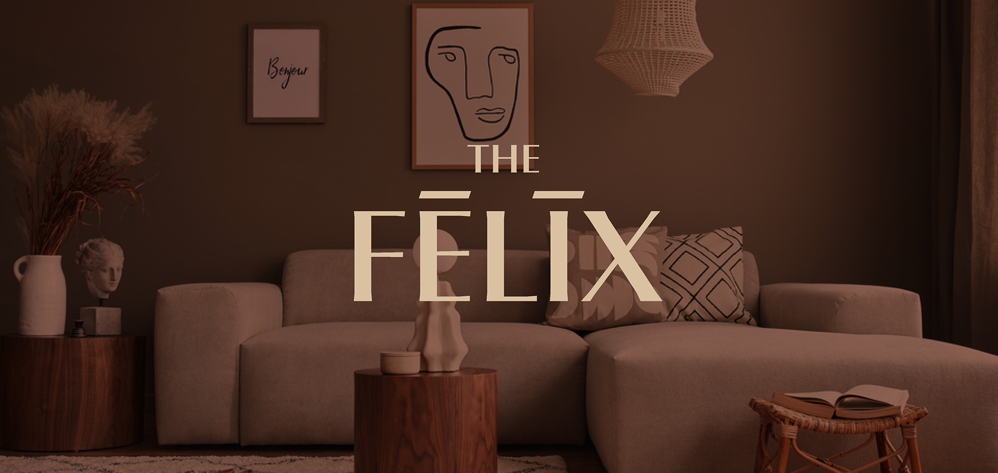 FELIX-LOGO.png