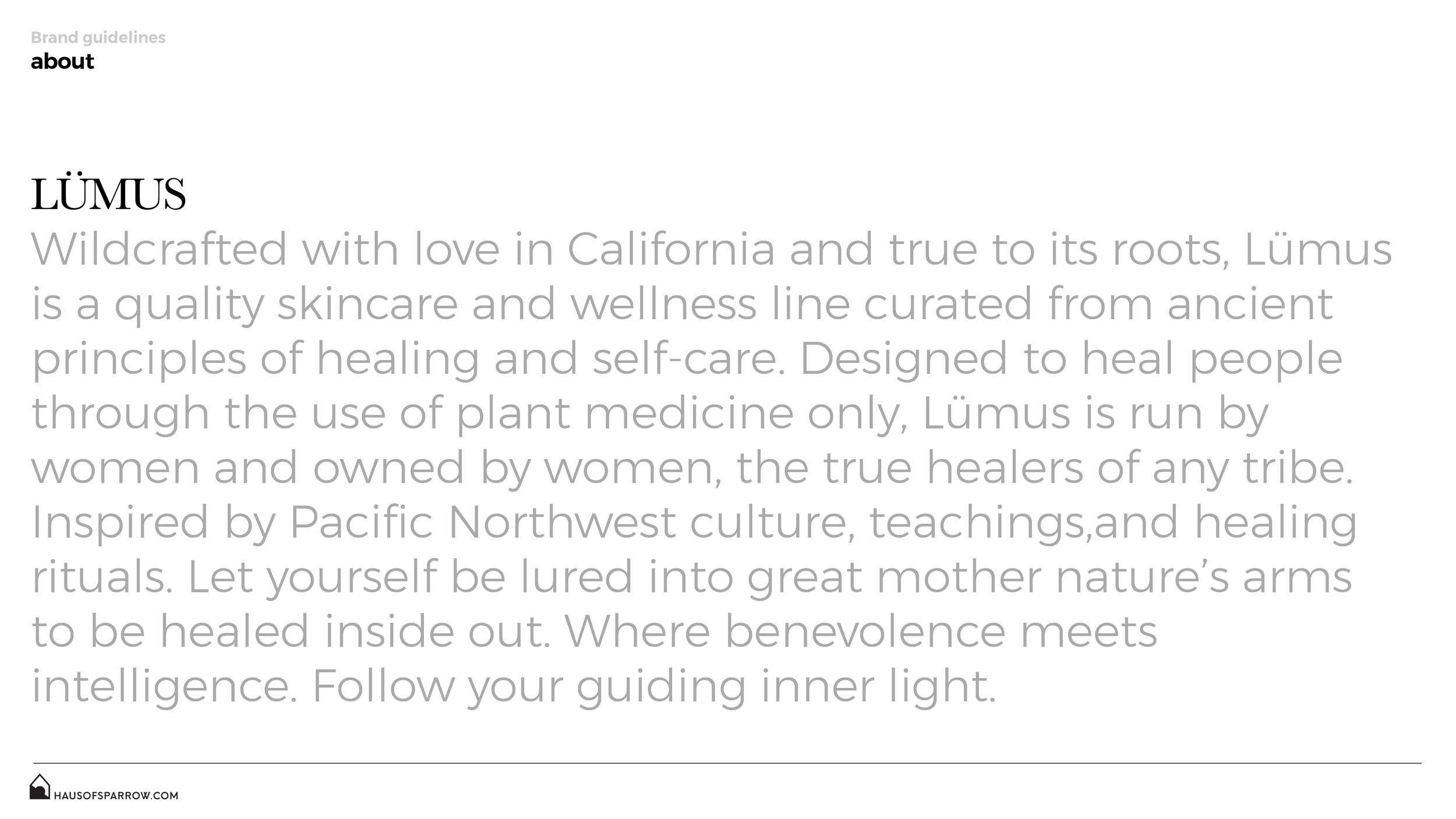 lumus_brand_guides_2019-03.png