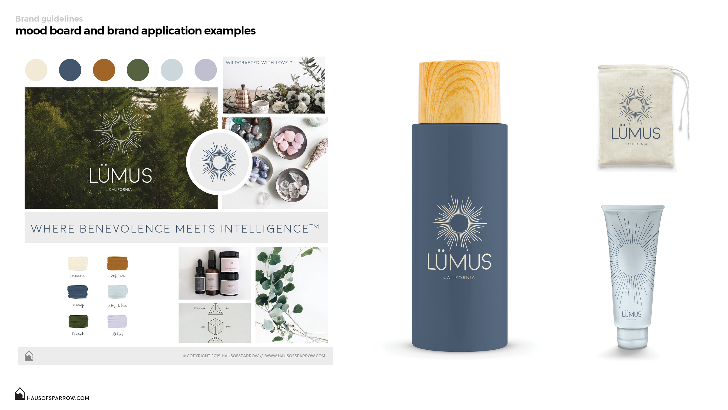 lumus_brand_guides_2019-11.png