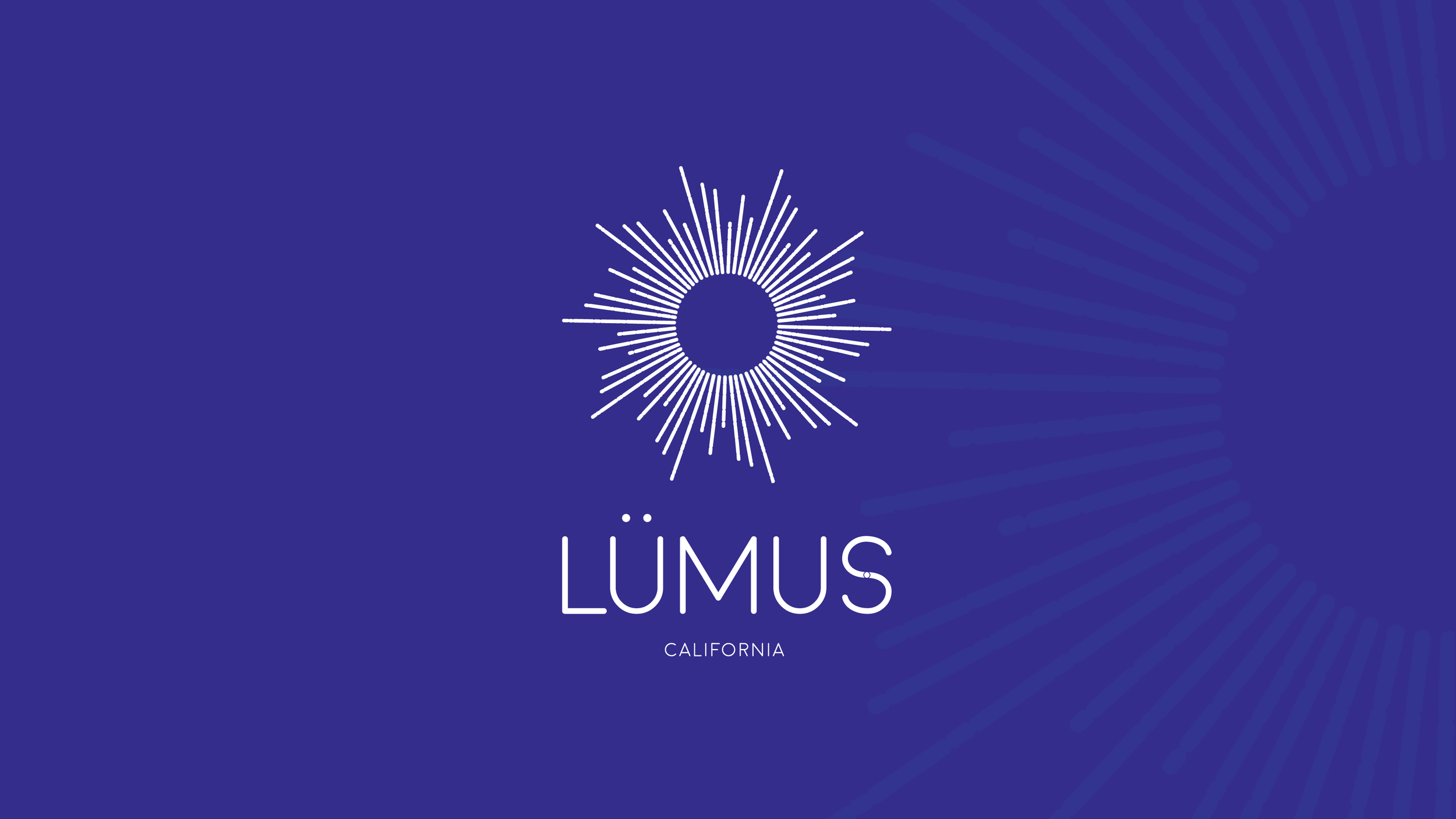 lumus_brand_guides_2019-13.png