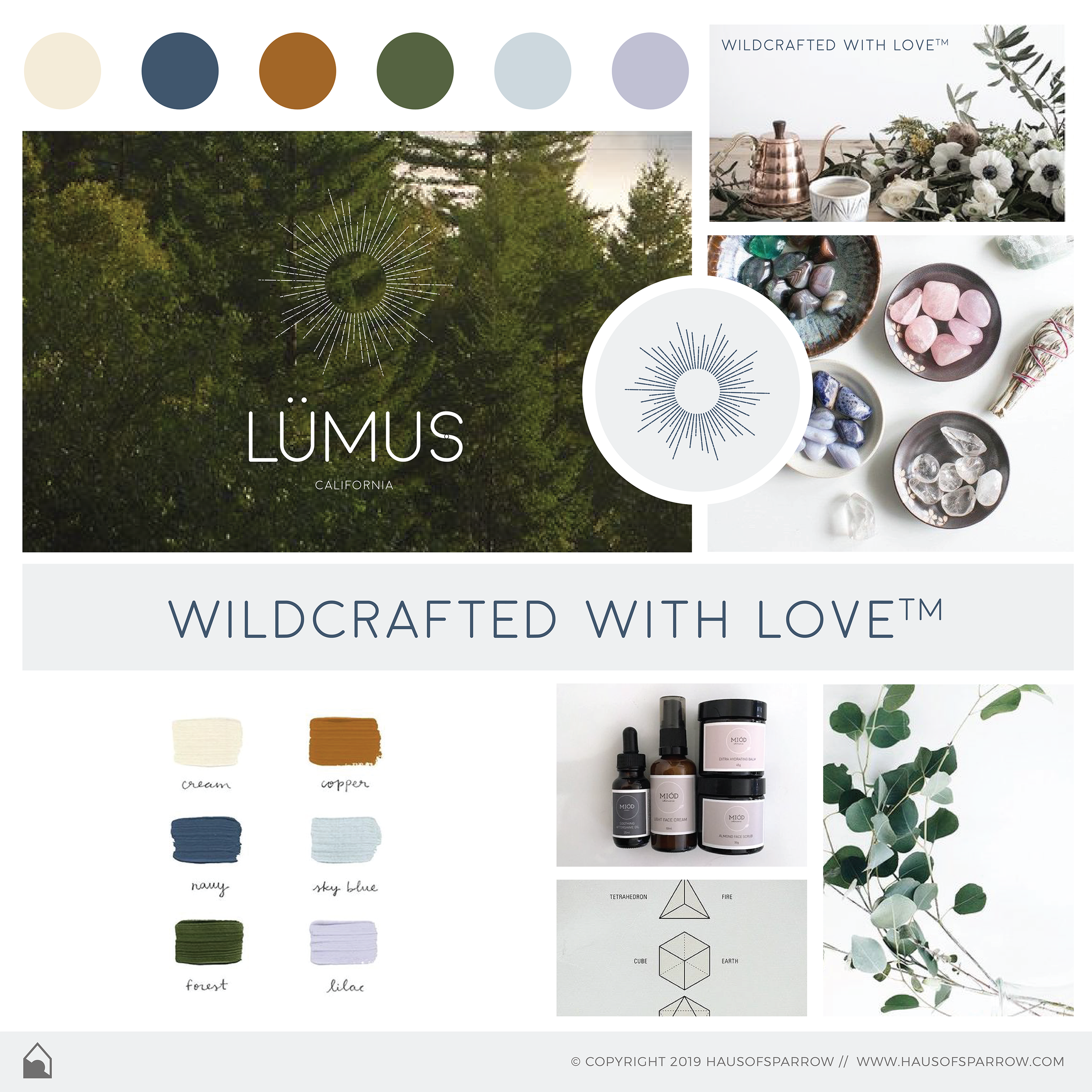 lumus_mood_board_v3-01.png