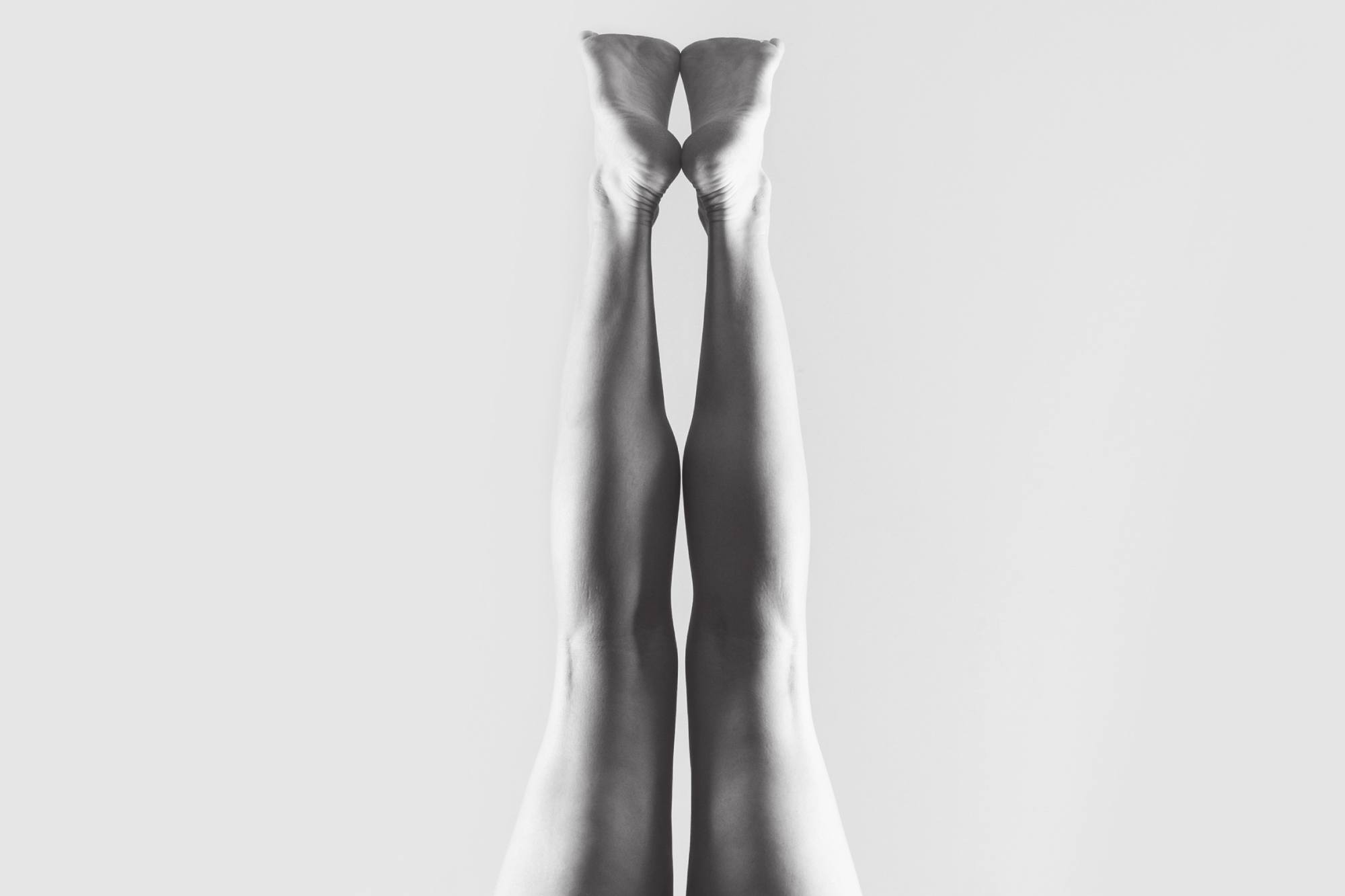 fullstop_web_assets2_F.png