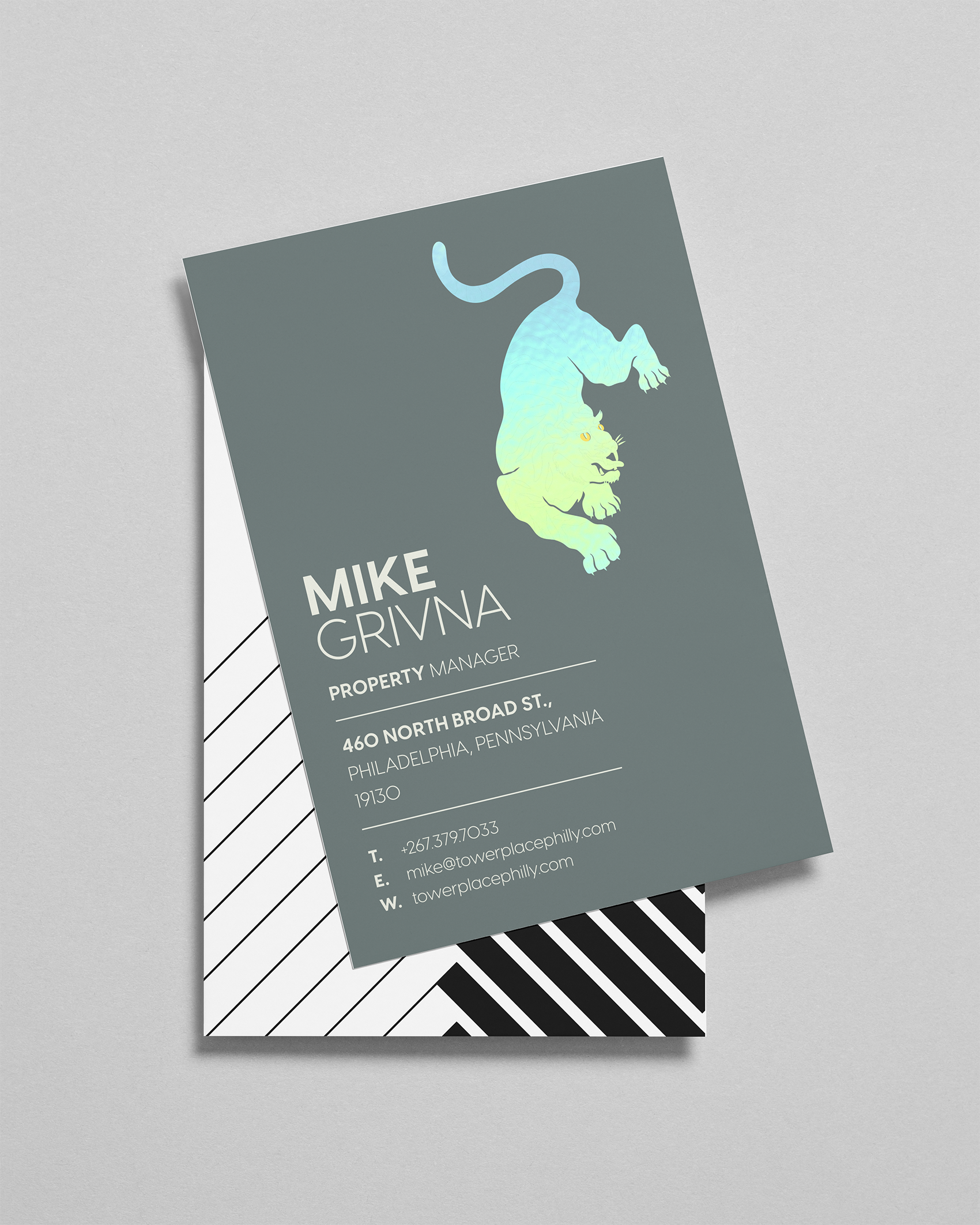 TOWERPLACE-BIZCARDS.png