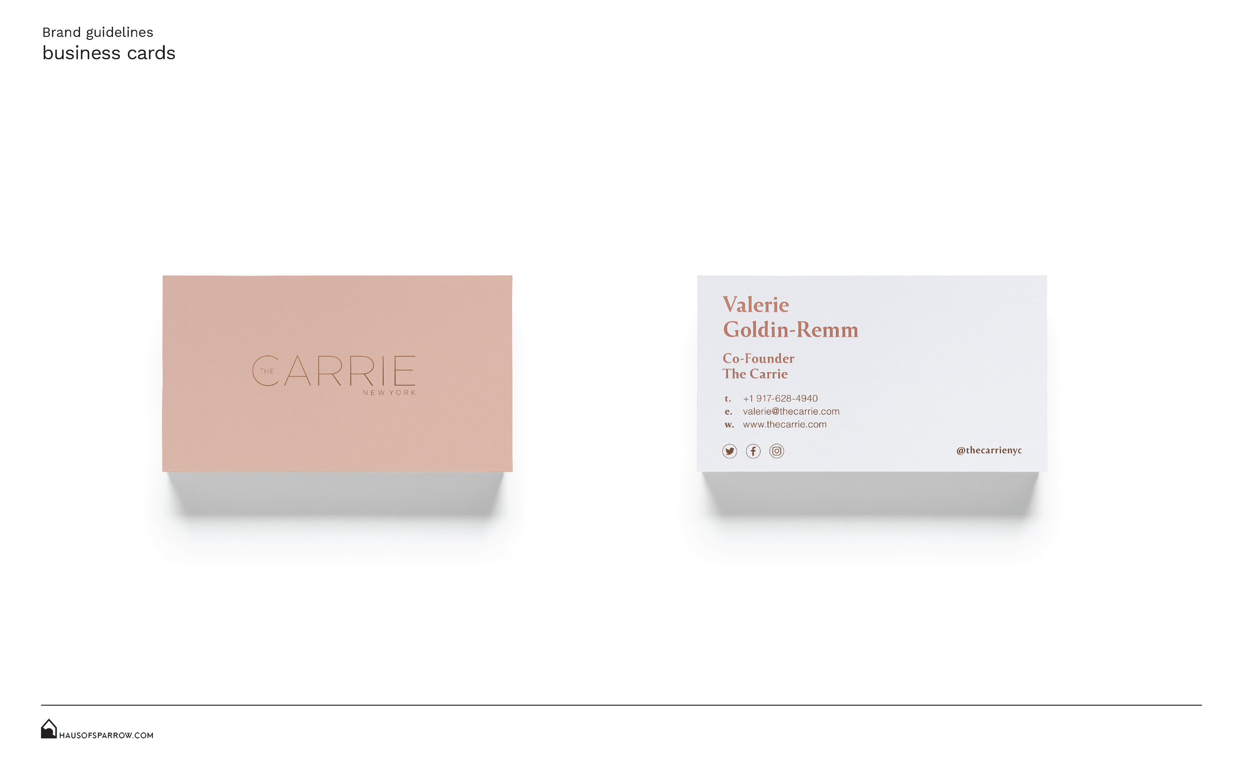 thecarrienyc_20200309_brand_guides_Page_12.png