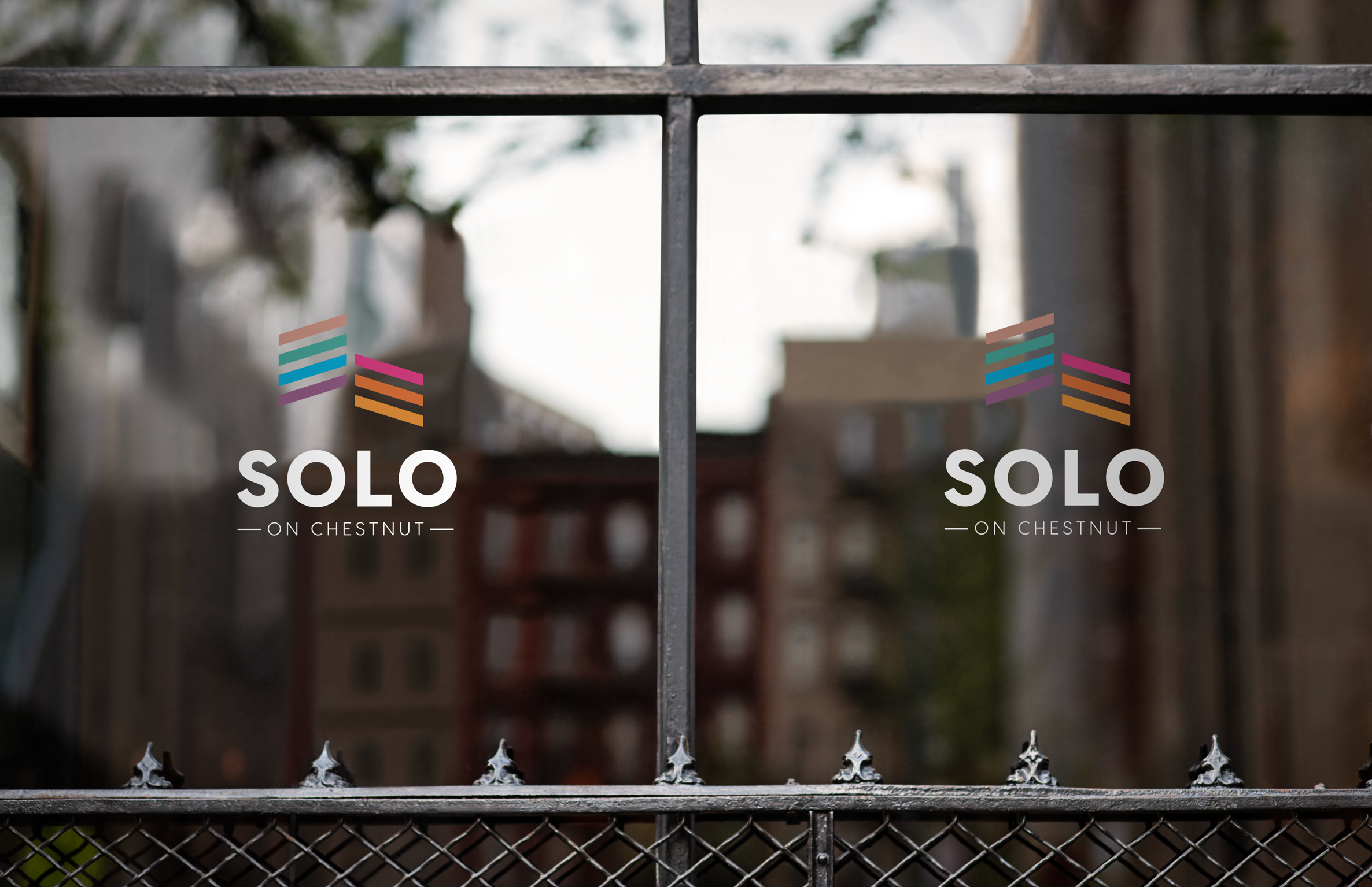 Solo on Chestnut