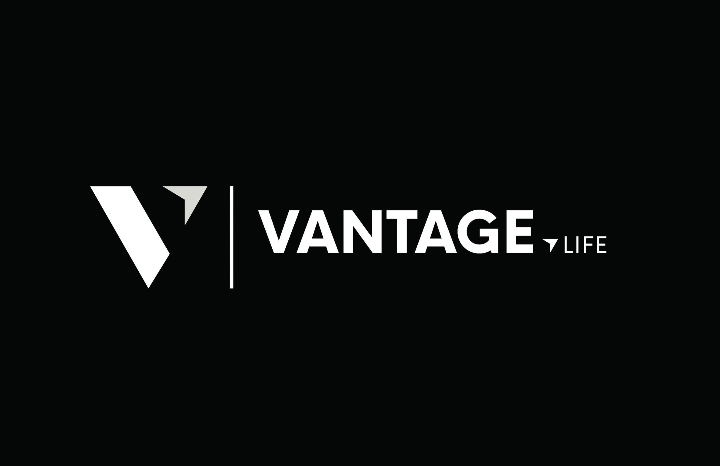 vantage-3.png