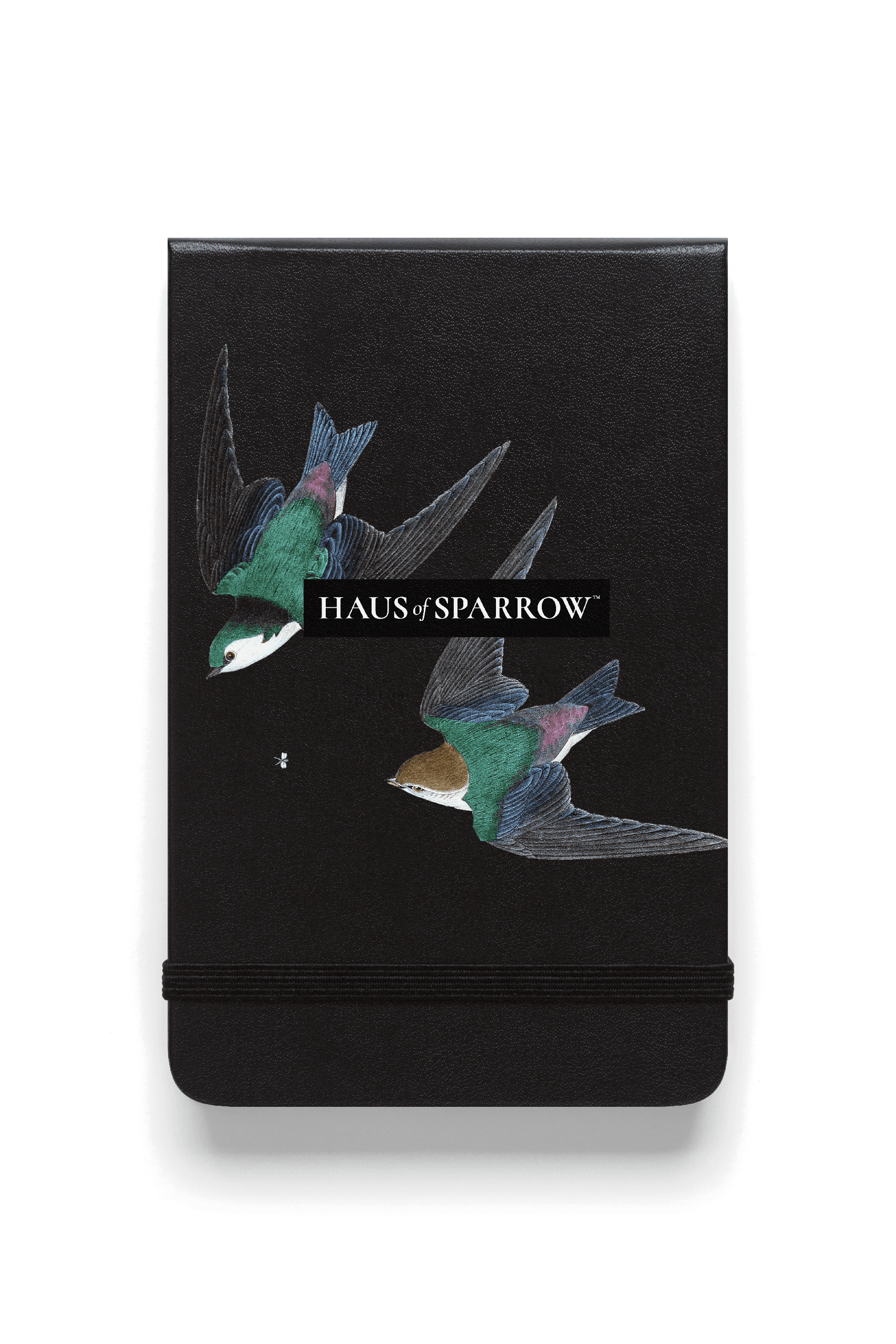 Book 0801 2022-04-25_1.png