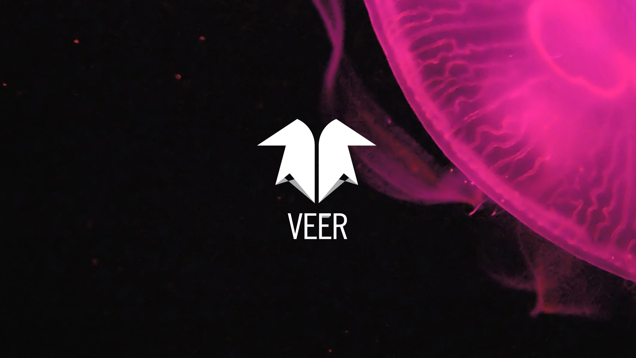 Veer
