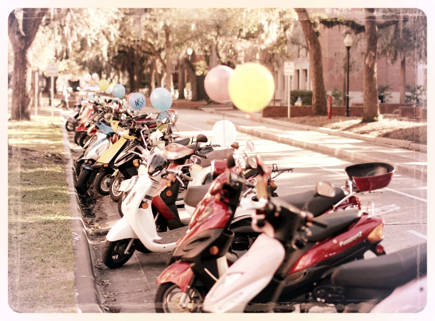 (Balloons Distributed By NS4L to customers parked on UF Campus for Valentine's Day. #UCE)