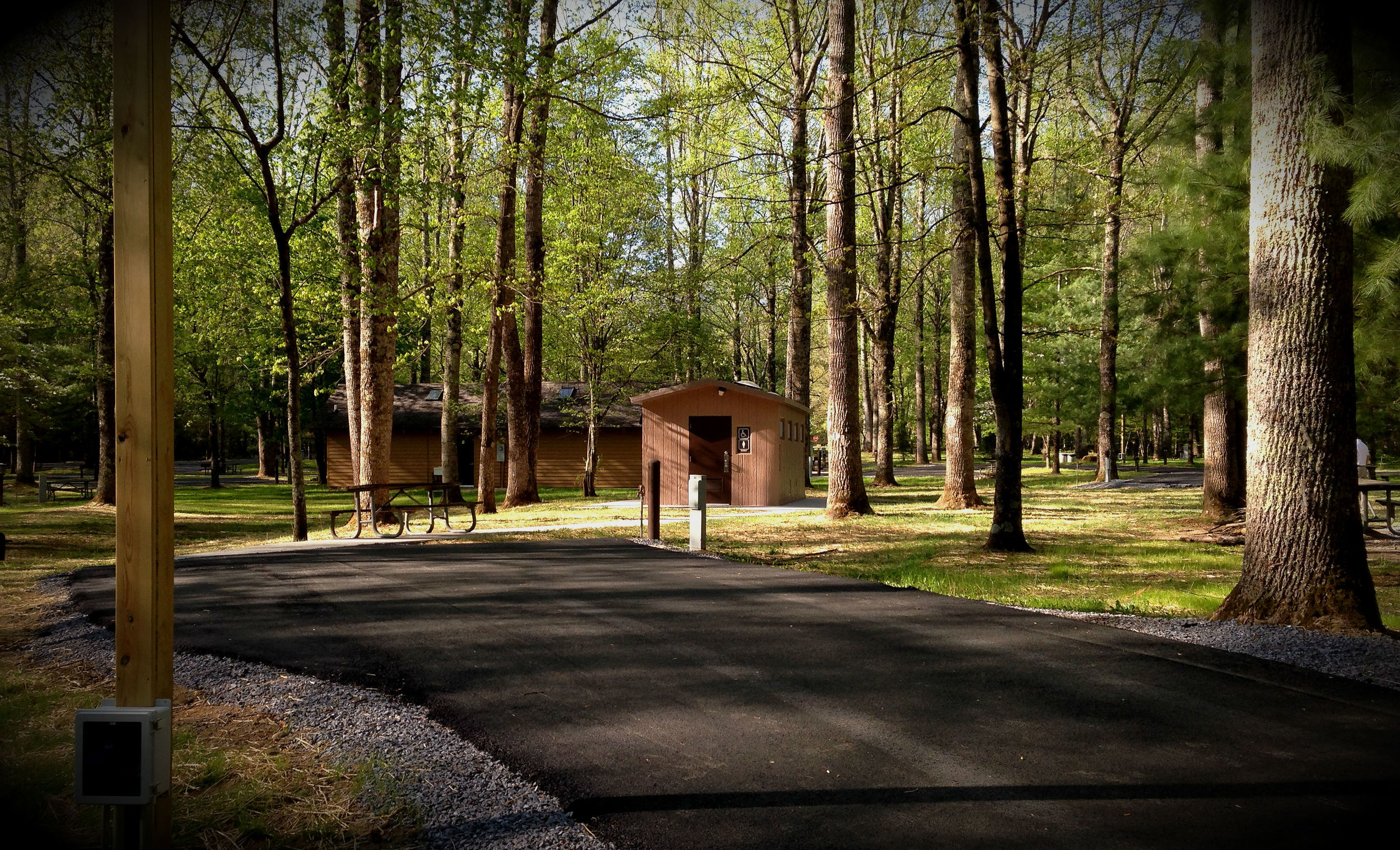 Roan Mountain State Park