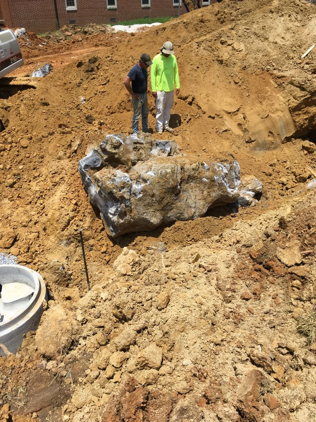 Additional excavation.jpg
