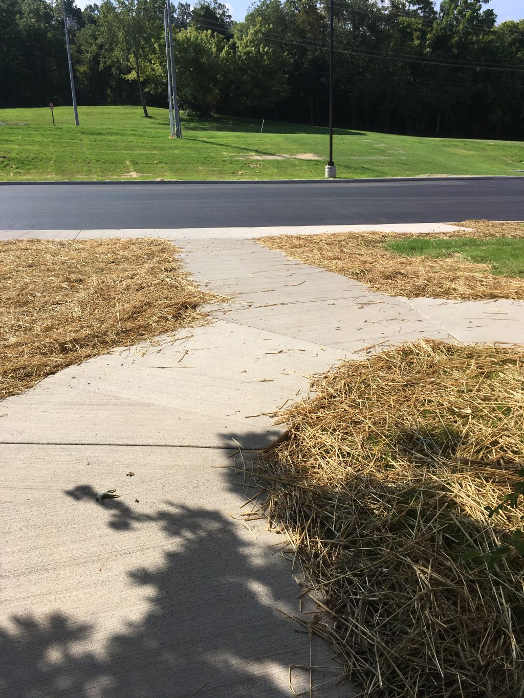 New Concrete Sidewalk.jpg