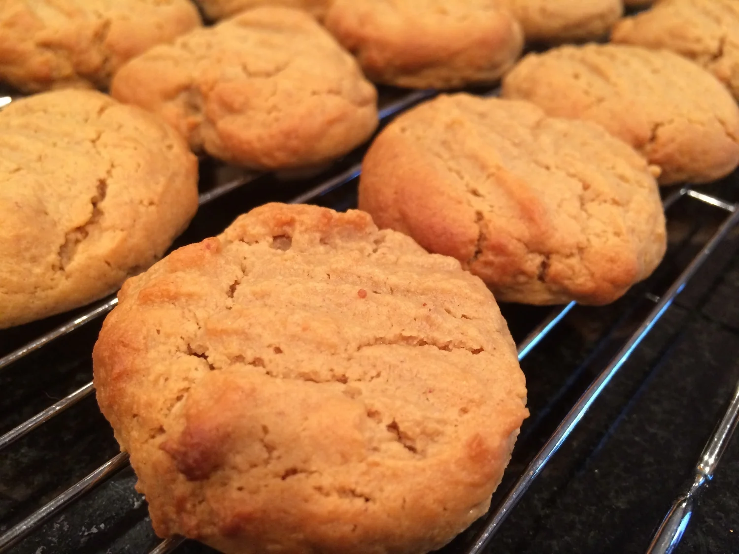 Finally! A cookie for breakfast. OK, so we all eat all kinds of cookies for breakfast anyway...but these have HONEY in them, so that makes it better. Right?
