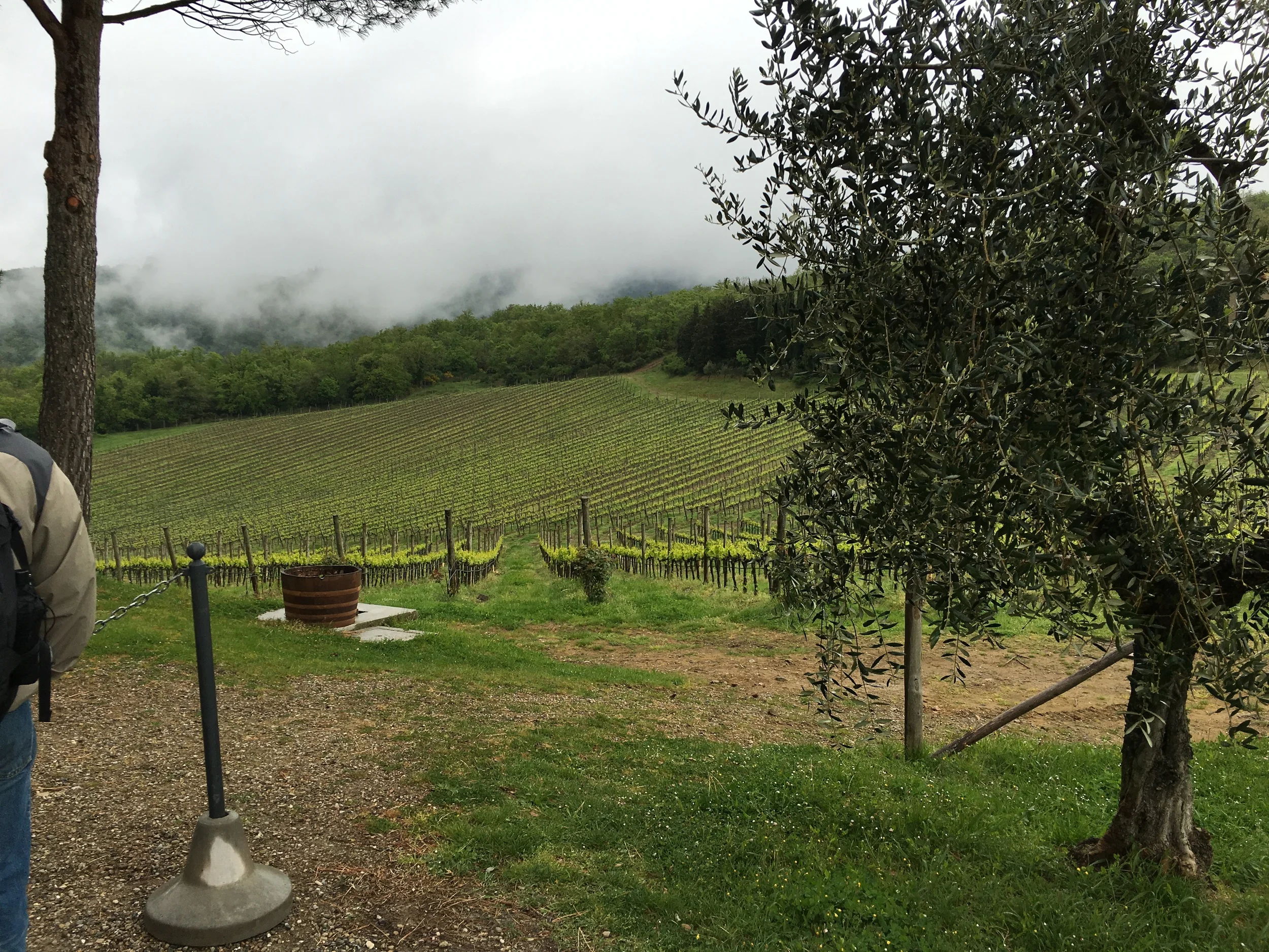 View from Castello D'Abola winery