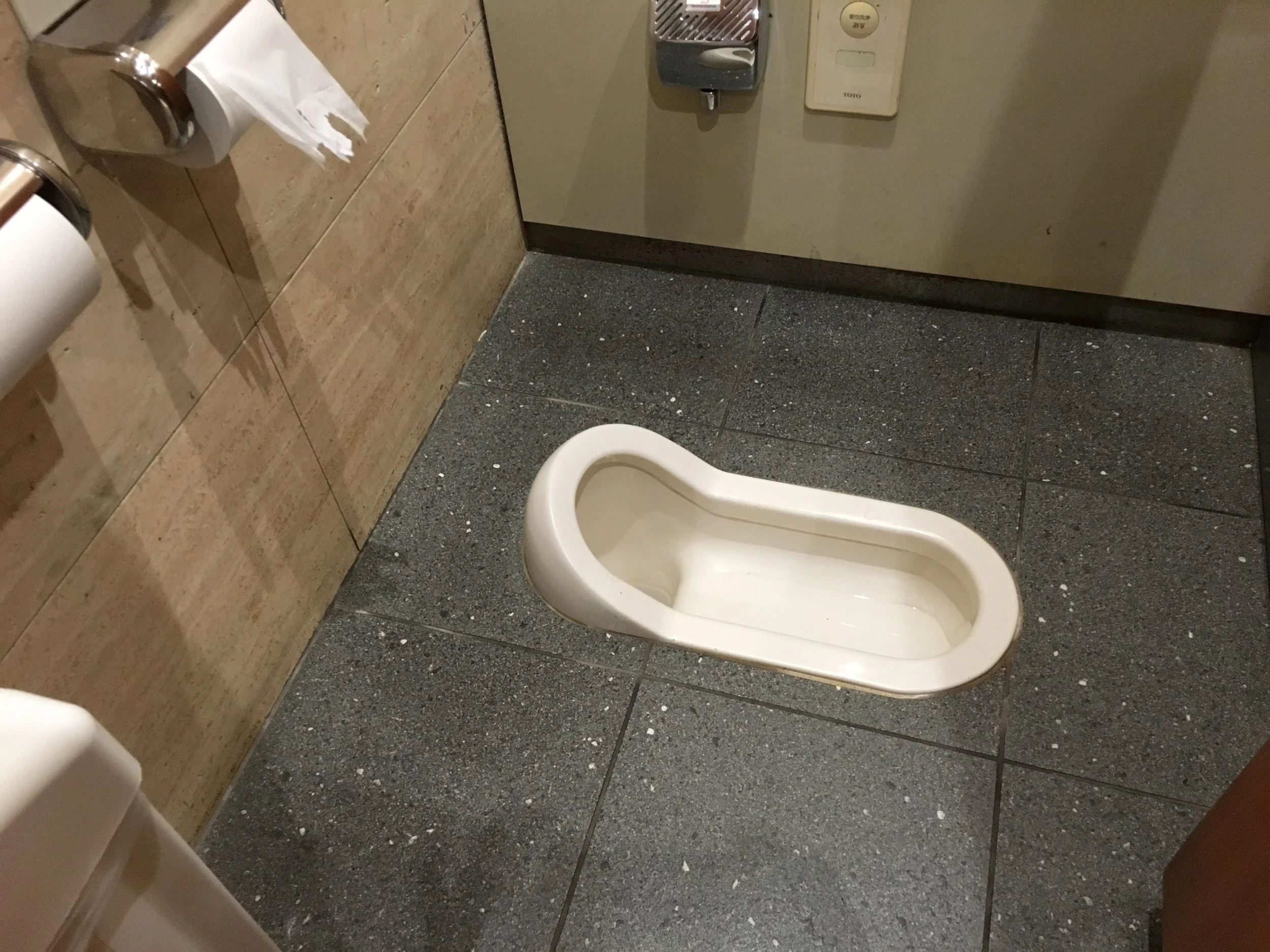 You should do your squats before you go - this is a Japanese-style toilet. Luckily, most restrooms have Western-style toilets.