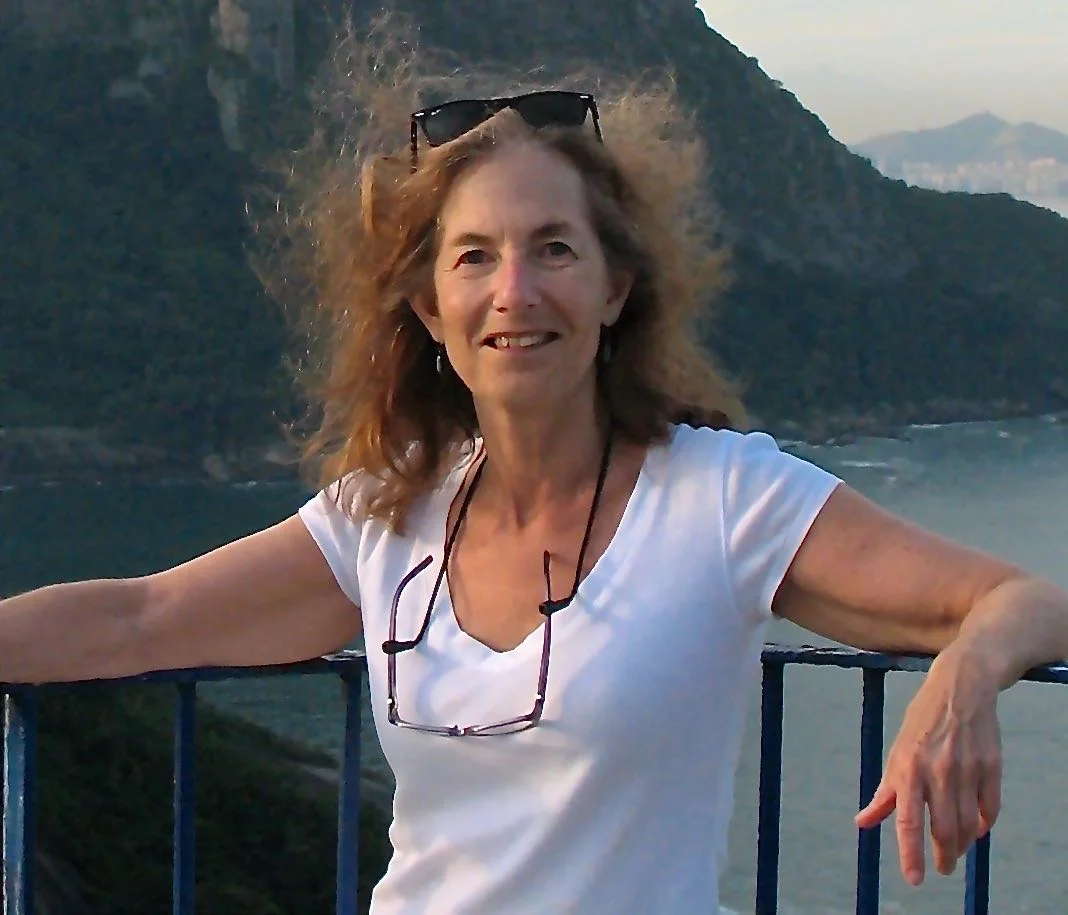 ellen shoshkes corcovado.jpg
