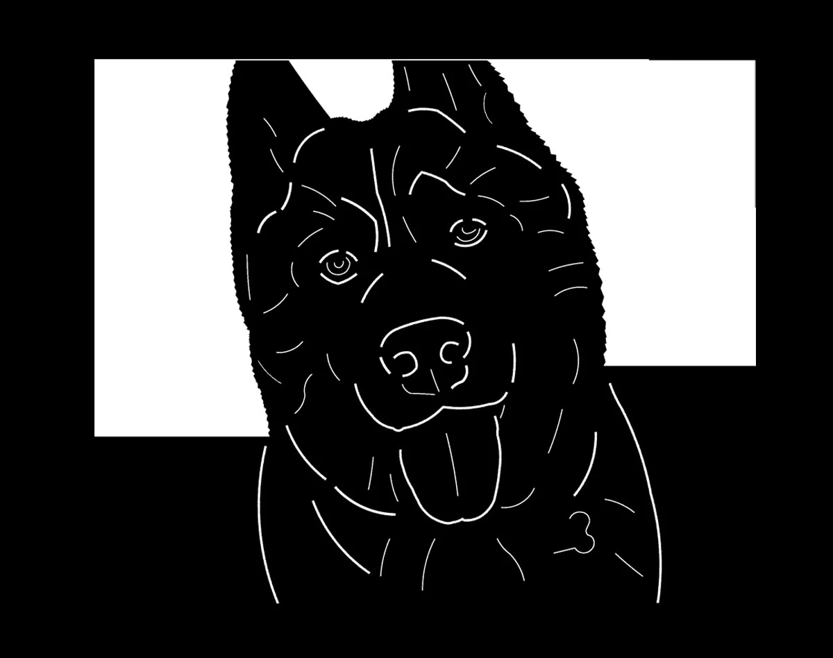 Dog 4