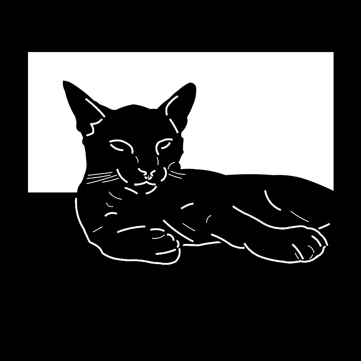 Cat 1