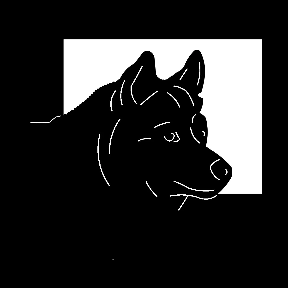 Dog 7
