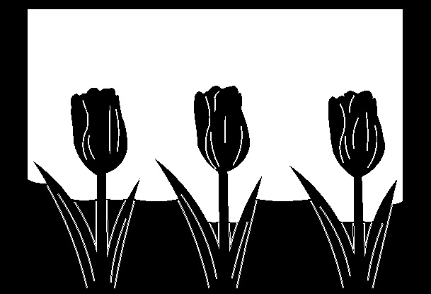 Flowers 1