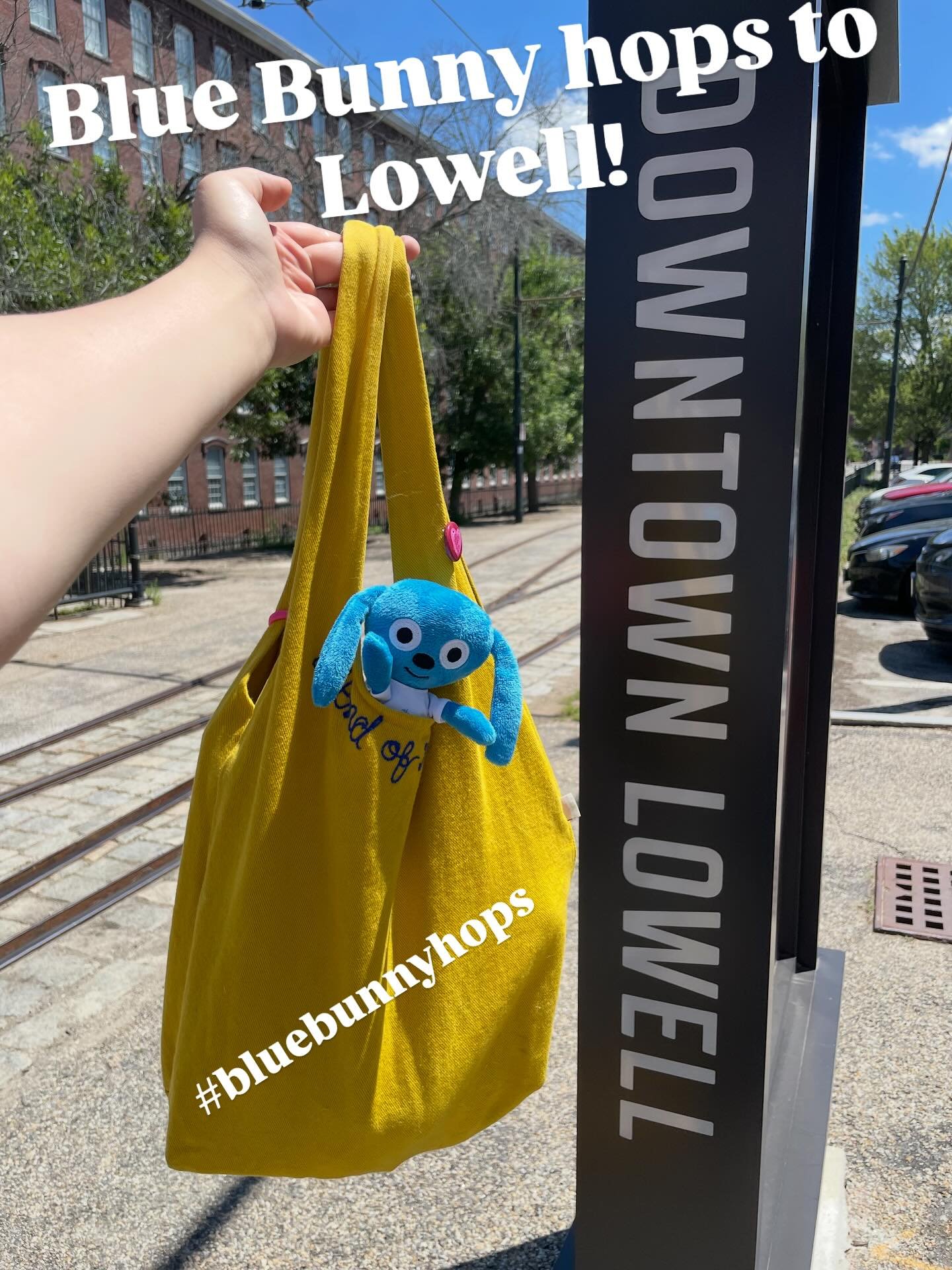 The Bunny hops to Lowell! @lauren.a.swank of @houserabbitnetwork sent us this fab pic! If you share your photos of your own bunny plush, use the hashtag #bluebunnyhops